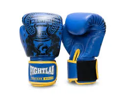 Boxing Gloves Alfa Chana Draft 14oz