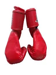 Boxing Gloves Alfa Chana Red 12oz