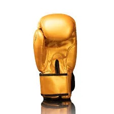 Boxing Glove Gold 12oz